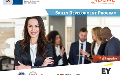 Skills Development Programme for young professionals