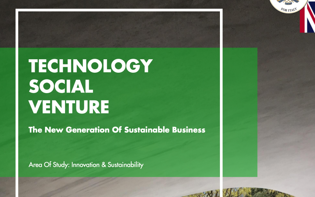 Technology Social Venture Report – BCCI Observatory 2020