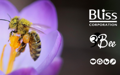 Bliss Corporation launches their new collaboration with 3BEE