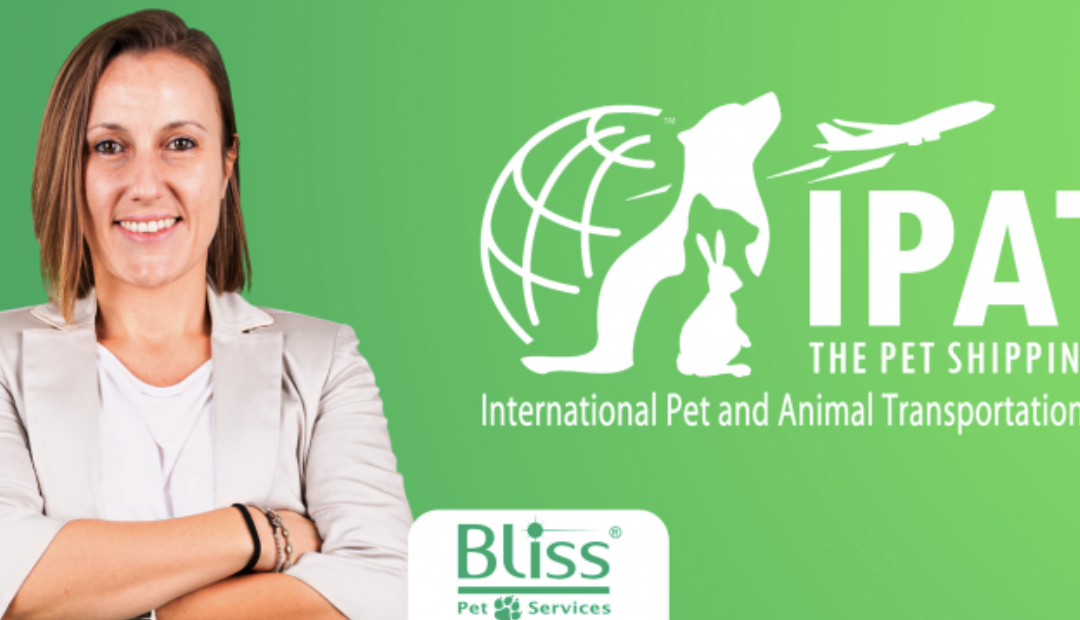Bliss Corporation Congratulates Annamaria Mannozzi as the New Director at Large on the IPATA Board of Directors