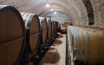 Valpolicella and Soave Wine Tasting | 13 May 2023