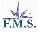 FMS Consulting Srl