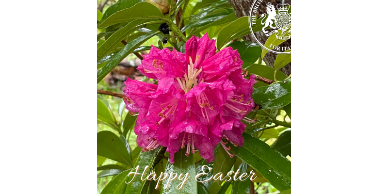 Happy Easter from all of us at the BCCI