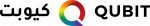 Qubit Srl